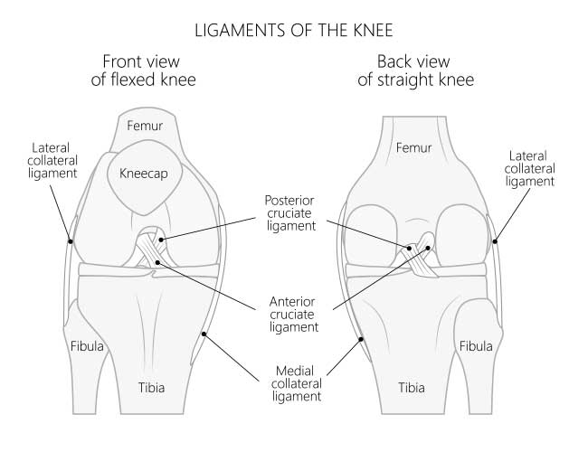 Knee Sprain